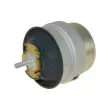 Support moteur AUTOMEGA 130058410 - Visuel 2