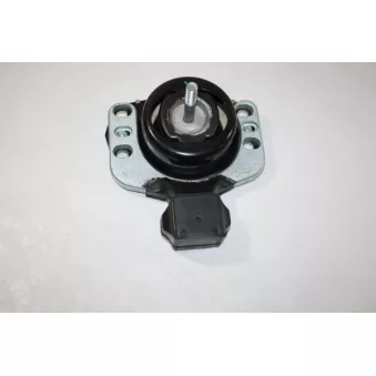 Support moteur AUTOMEGA 130077610