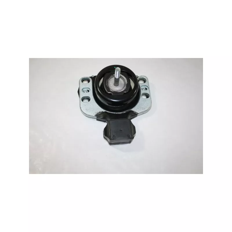 Support moteur AUTOMEGA 130077610