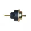 Support moteur AUTOMEGA 130088410 - Visuel 2