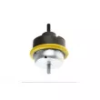Support moteur AUTOMEGA 130089210 - Visuel 1