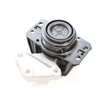 Support moteur AUTOMEGA 130093210