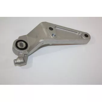Support moteur AUTOMEGA 130117010