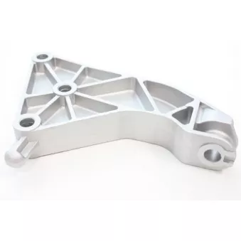 Support moteur AUTOMEGA 130124010