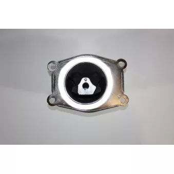 Support moteur AUTOMEGA 130124310