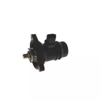 Thermostat d'eau AUTOMEGA