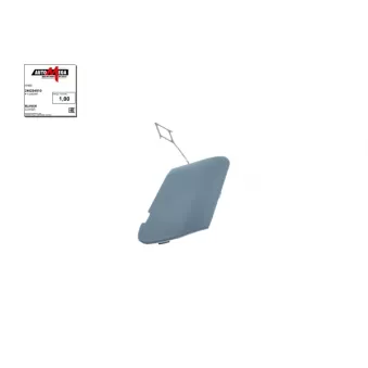 Enjoliveur, pare-chocs AUTOMEGA 246204910