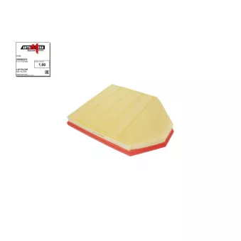 Filtre à air AUTOMEGA 250050210