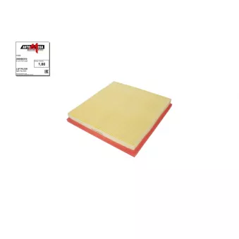 Filtre à air AUTOMEGA 250050310