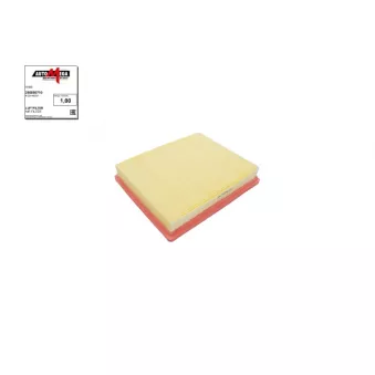 Filtre à air AUTOMEGA 250050710