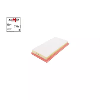 Filtre à air AUTOMEGA 250050810