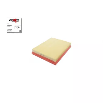 Filtre à air AUTOMEGA