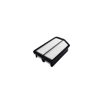 Filtre à air AUTOMEGA 250052610