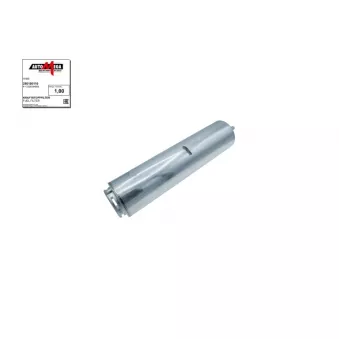 Filtre à carburant AUTOMEGA 250100110