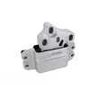 Support moteur AUTOMEGA 250372010 - Visuel 1