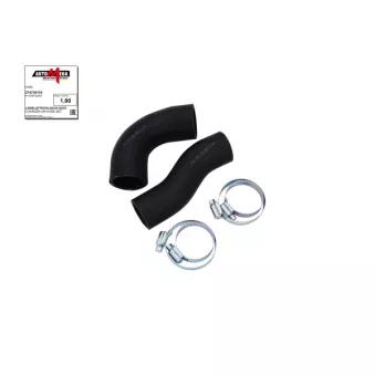 Gaine de suralimentation AUTOMEGA 274739110