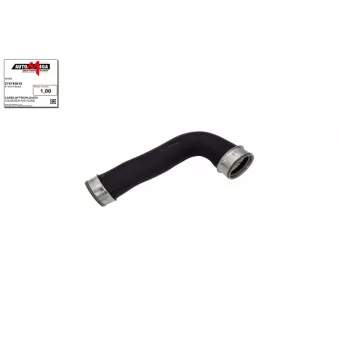 Gaine de suralimentation AUTOMEGA 274740810