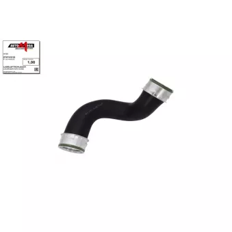 Gaine de suralimentation AUTOMEGA 274741010