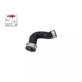 Gaine de suralimentation AUTOMEGA 274741310