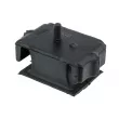 Support moteur TEKNÖR ZPS-MZ-027 - Visuel 2