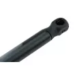 Vérin, capot-moteur TEKNÖR AE-AU-089 - Visuel 3