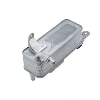 Radiateur d'huile TEKNÖR CCL-BM-062