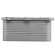 Radiateur d'huile TEKNÖR CCL-ME-043 - Visuel 3