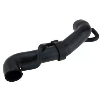 Durite de radiateur TEKNÖR CPP-ME-020