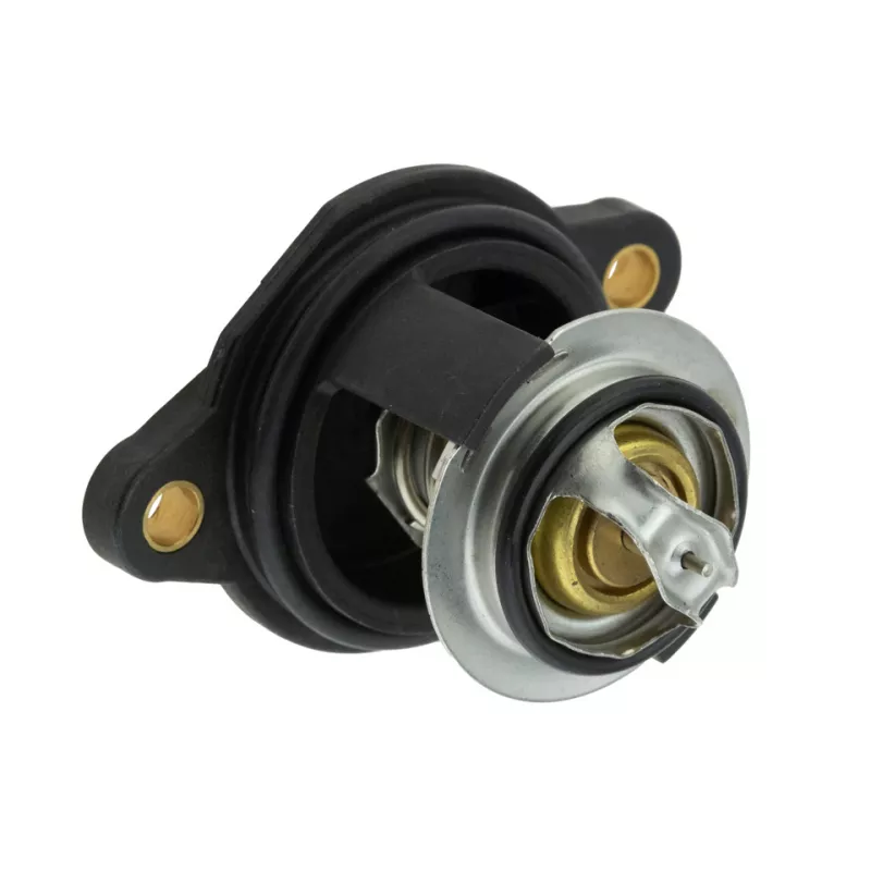 Thermostat d'eau TEKNÖR CTM-FR-027