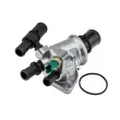 Thermostat d'eau TEKNÖR CTM-FT-000 - Visuel 1