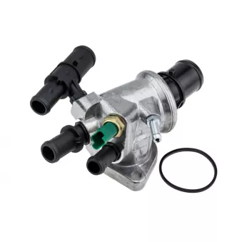Thermostat d'eau TEKNÖR CTM-FT-000