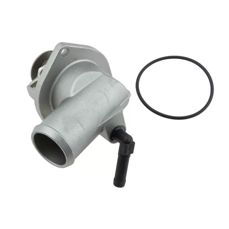 Boîtier du thermostat TEKNÖR CTM-PL-031