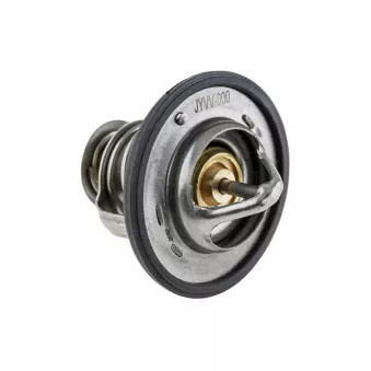 Thermostat d'eau TEKNÖR CTM-VV-000