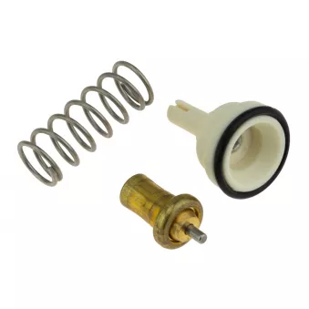 Thermostat d'eau TEKNÖR CTM-VW-065