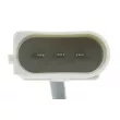 Capteur d'angle, vilebrequin TEKNÖR ECP-AU-045 - Visuel 3