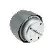 Support moteur TEKNÖR ZPS-AU-054 - Visuel 2