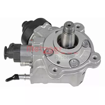 Pompe à haute pression METZGER 0830133