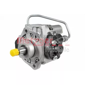 Pompe à haute pression METZGER 0830141