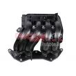 Module de tube d'admission METZGER 2100107 - Visuel 1
