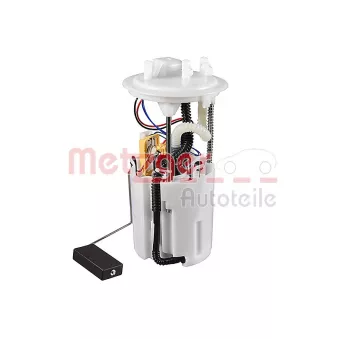 Unité d'injection de carburant METZGER 2250566