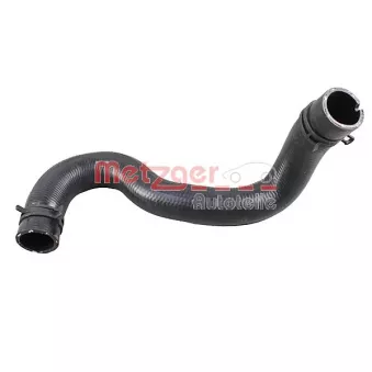 Durite de radiateur METZGER 2421324