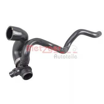 Durite de radiateur METZGER 2421346