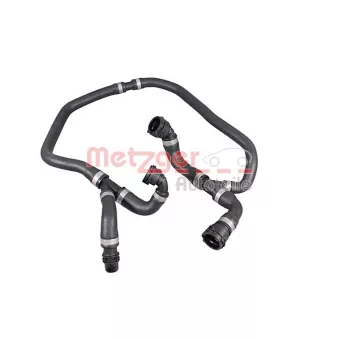 Durite de radiateur METZGER 2421349