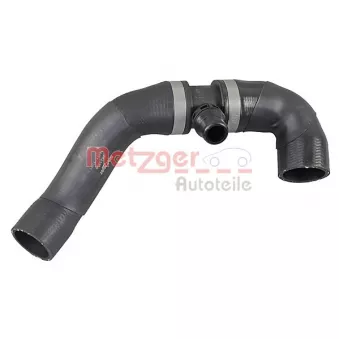 Durite de radiateur METZGER 2421356