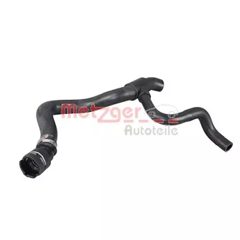 Durite de radiateur METZGER 2421382