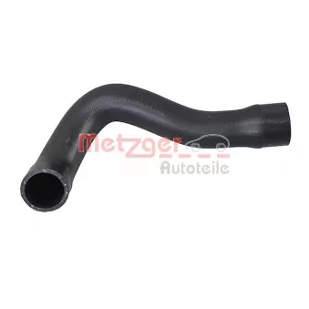 Durite de radiateur METZGER 2421383