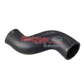 Durite de radiateur METZGER 2421403