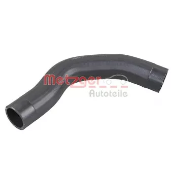 Durite de radiateur METZGER 2421413
