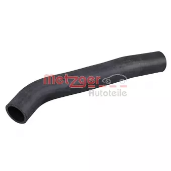 Durite de radiateur METZGER 2421418