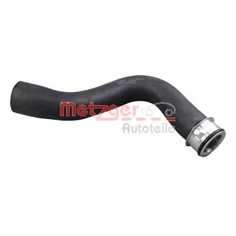 Durite de radiateur METZGER 2421421